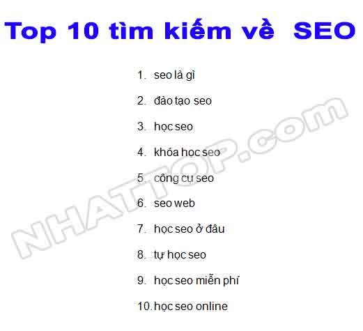 Top 10 tìm kiếm về seo