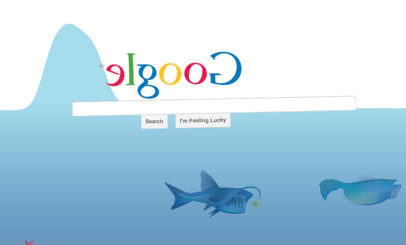 google underwater