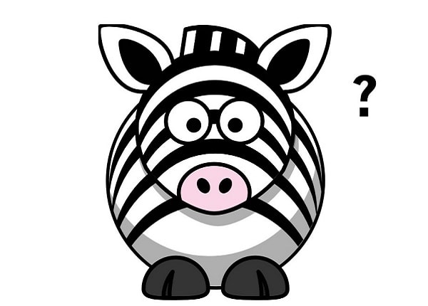 Google zebra là gì?